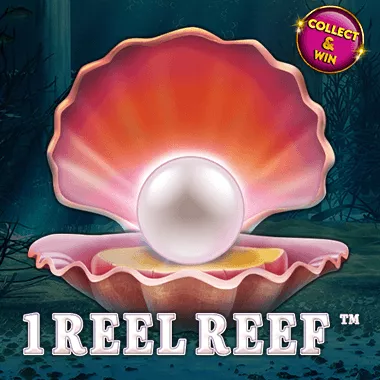 The Social Aspect of Playing 1 Reel Reef Slots