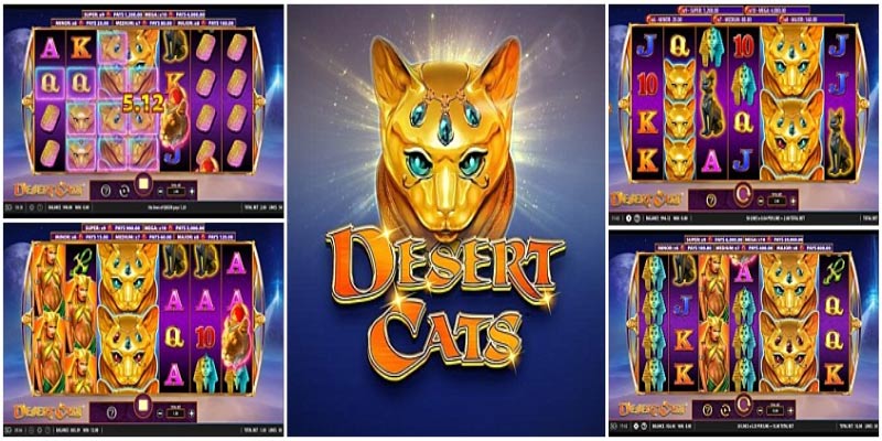 Unleash the Wild Riches of Desert Cats!